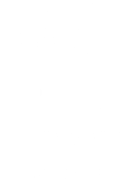 King David Schools crest